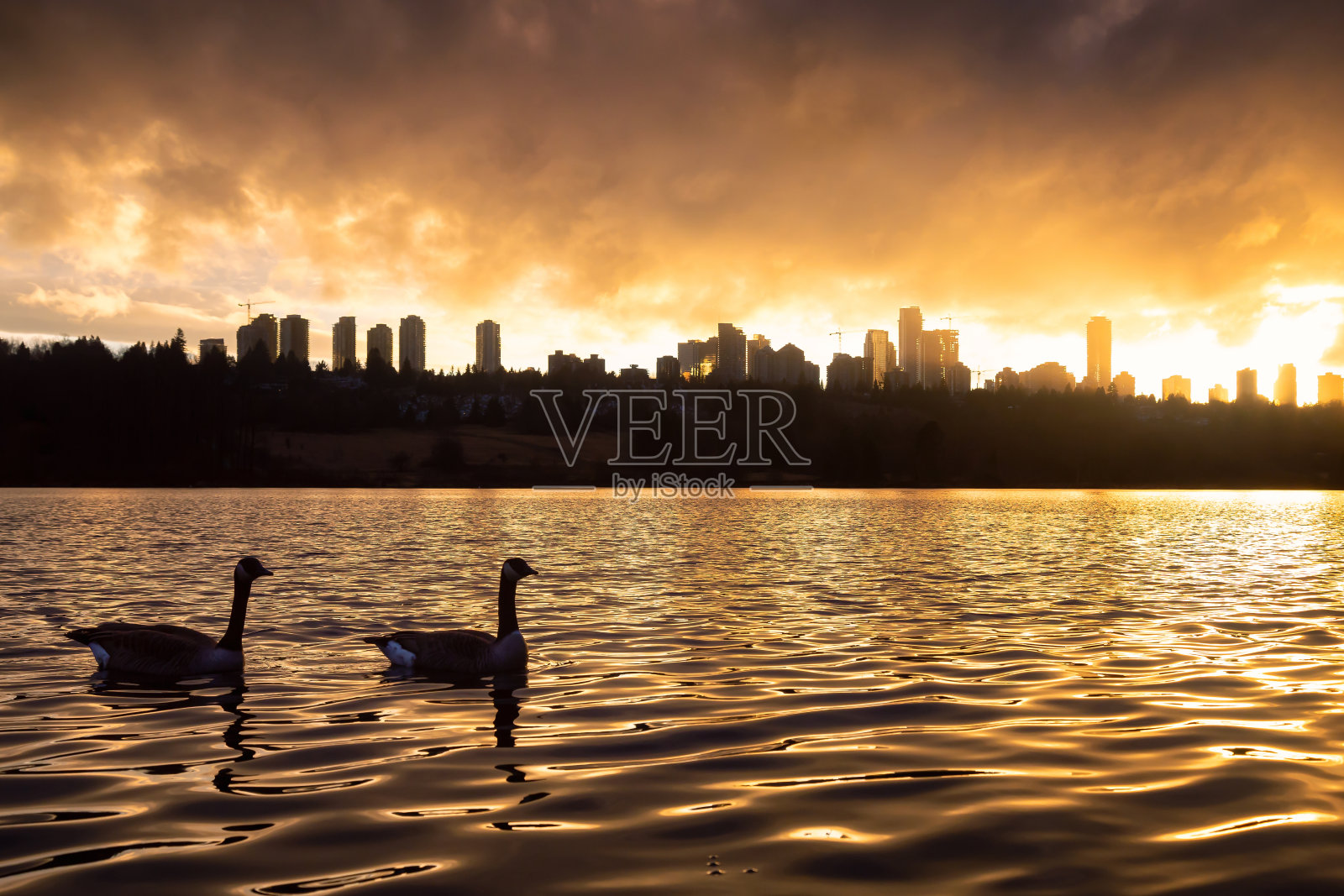 色彩鲜艳的冬季日落时分的鹿湖景色照片摄影图片