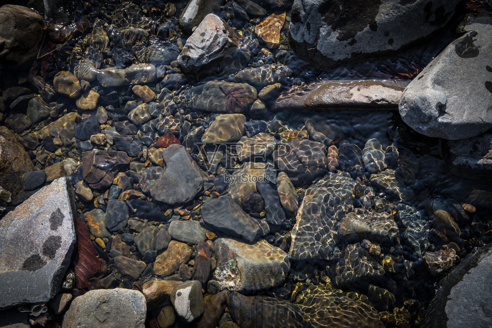 夏日的阳光在水下的河石上创造出美丽的图案照片摄影图片