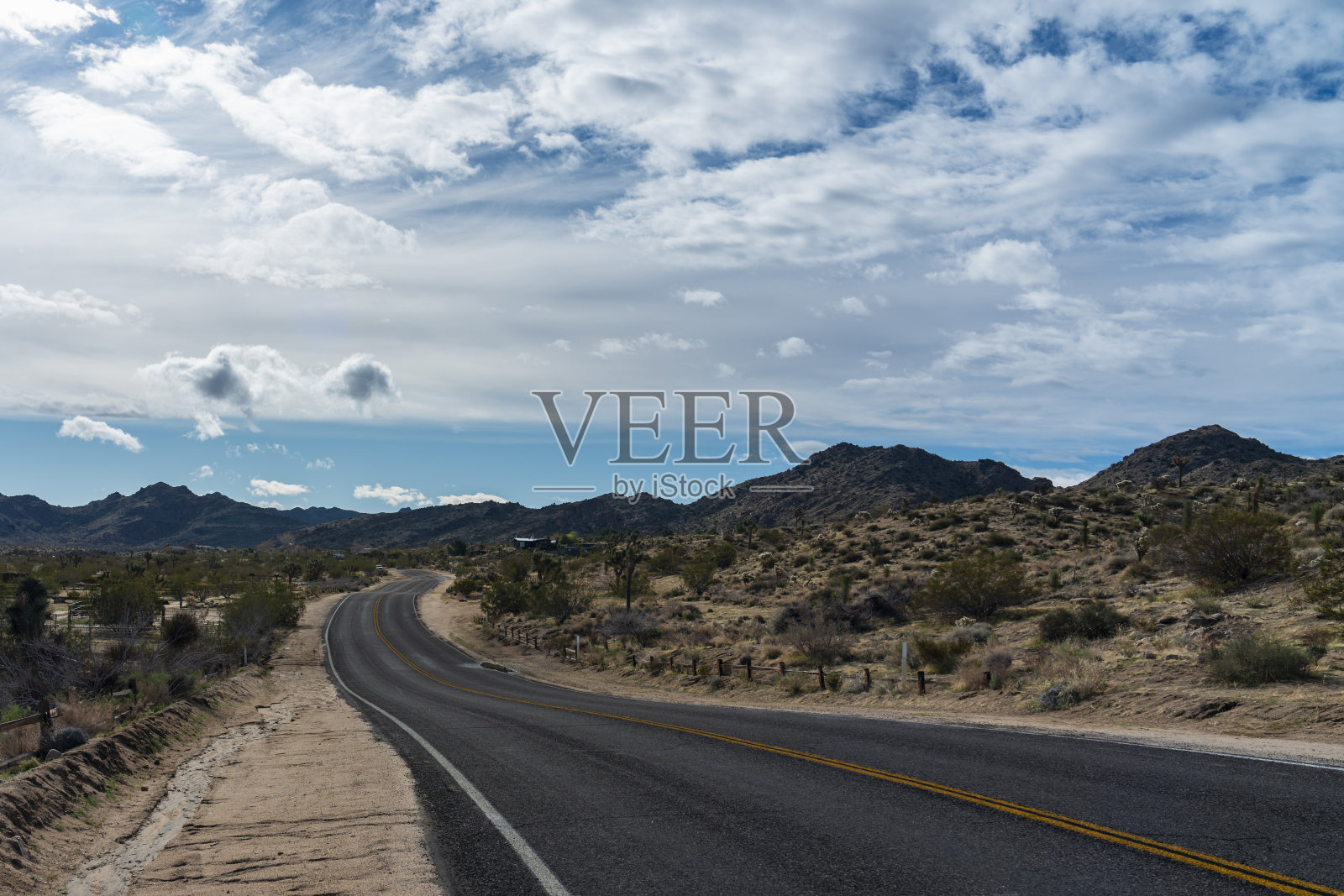 约书亚树国家公园照片摄影图片