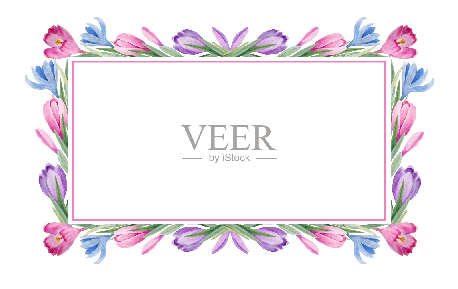 水彩花架与春天的番红花花束插画图片素材