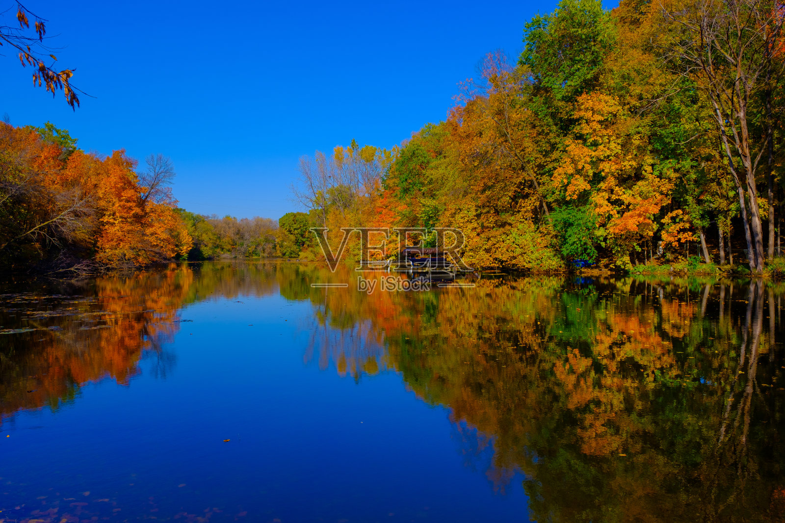 金秋公园,秋季森林湖泊水景观,秋季森林湖泊,美国照片摄影图片