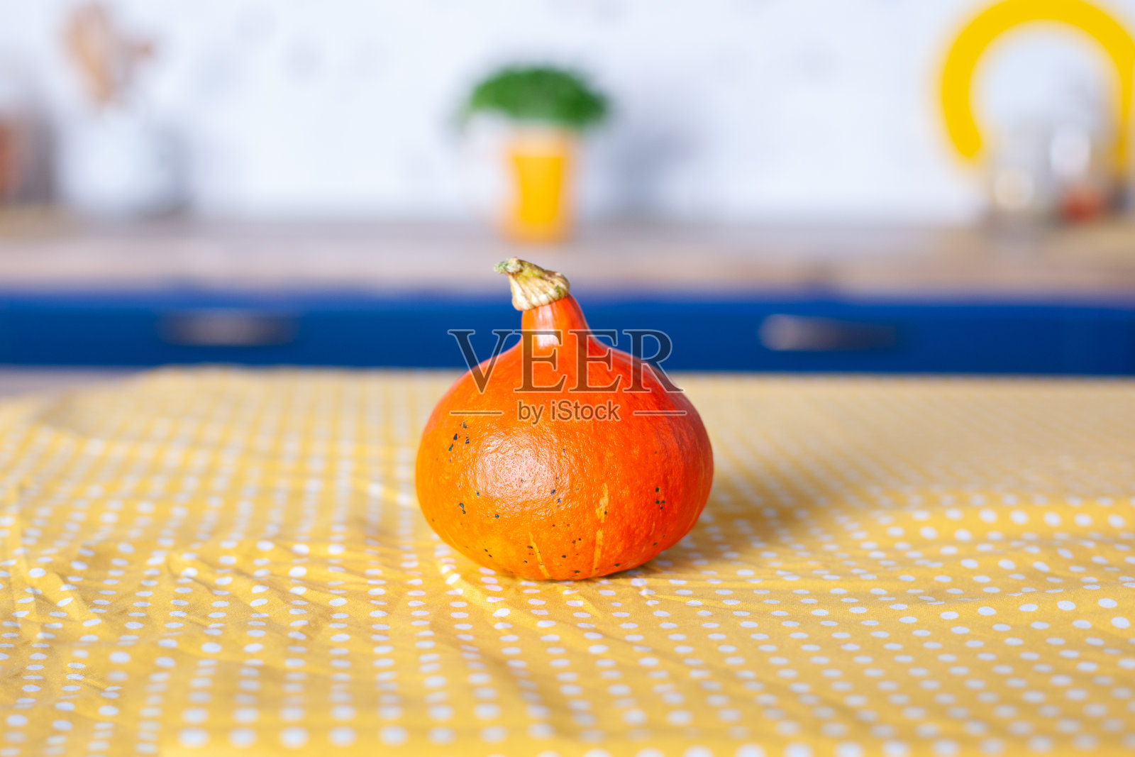 太阳能南瓜在厨房的桌子上。有机食品与健康食品理念。秋橙南瓜,白墙厨房。感恩节和万圣节。节日装饰。秋天舒适的家静物生活。照片摄影图片