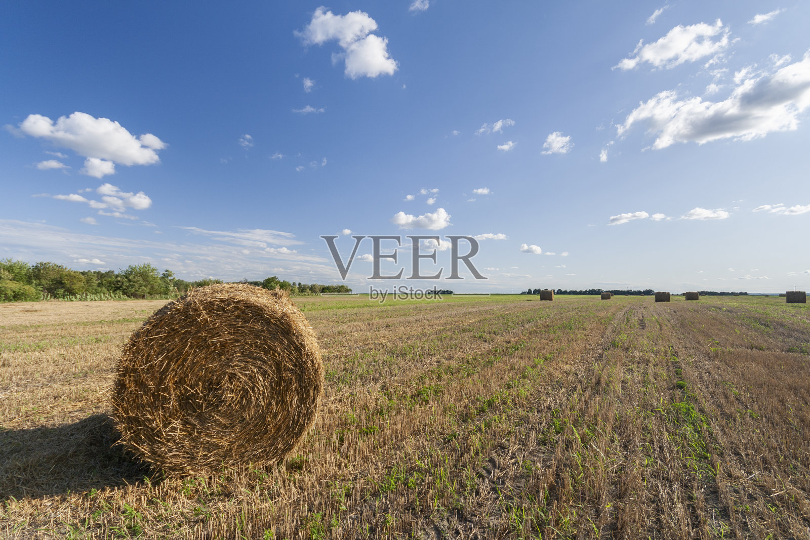 农田里有干草捆和蓝天照片摄影图片