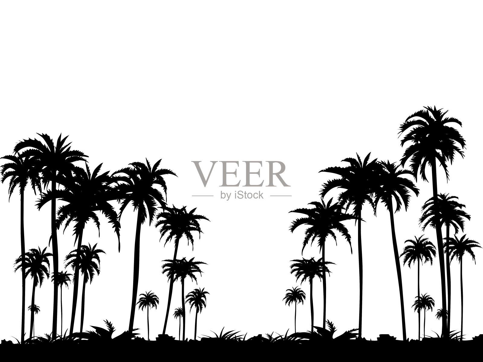 矢量剪影的椰树孤立在透明的背景插画图片素材