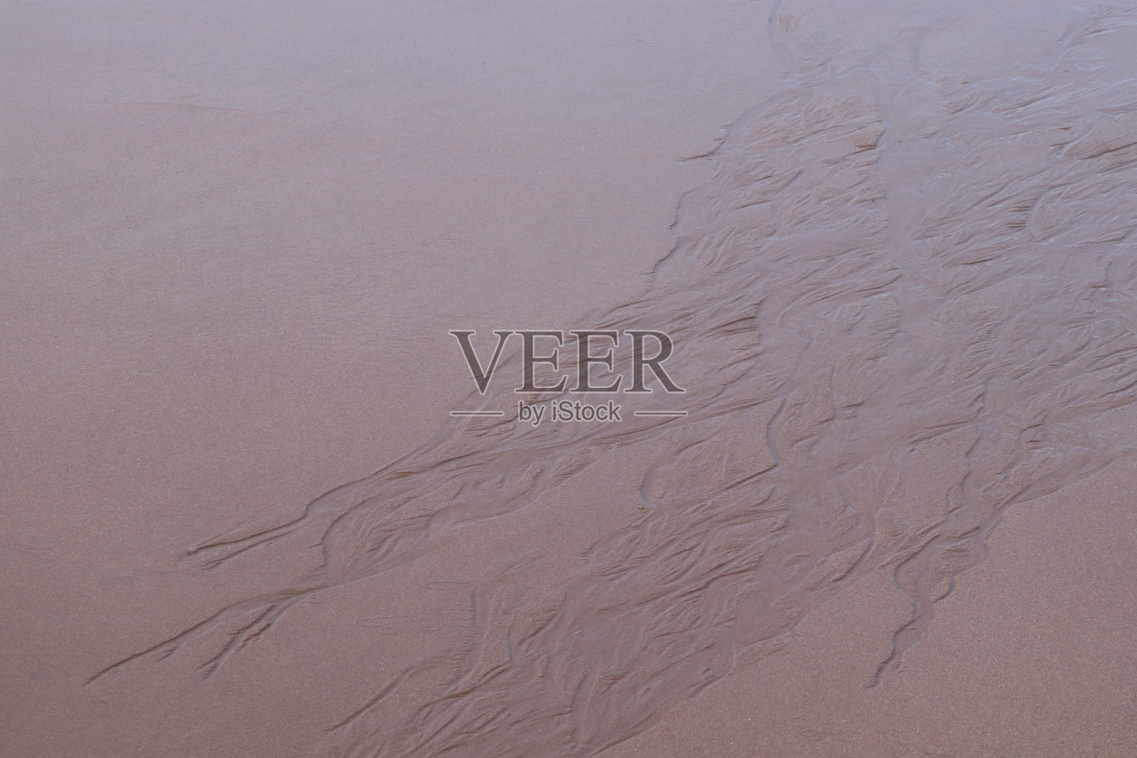 砂文摘照片摄影图片