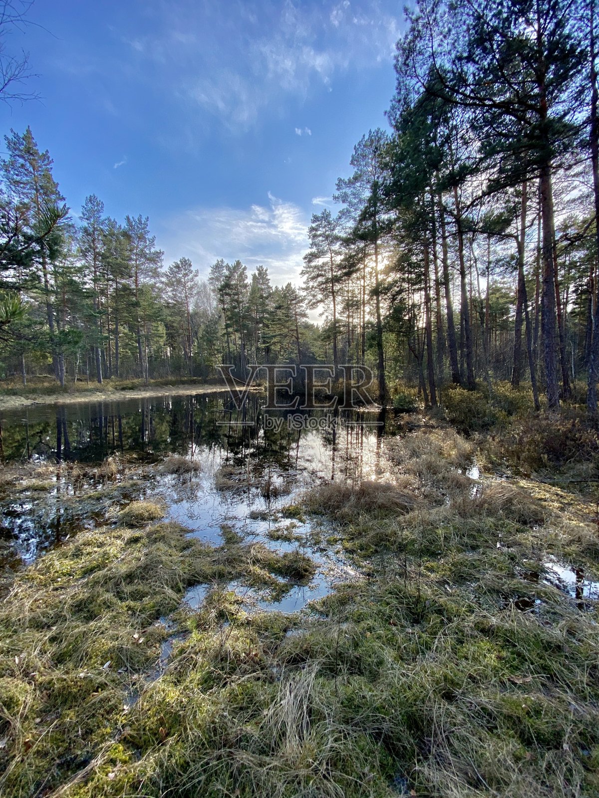 波罗的海春天海岸海滨海滩拉脱维亚利拉斯特照片摄影图片