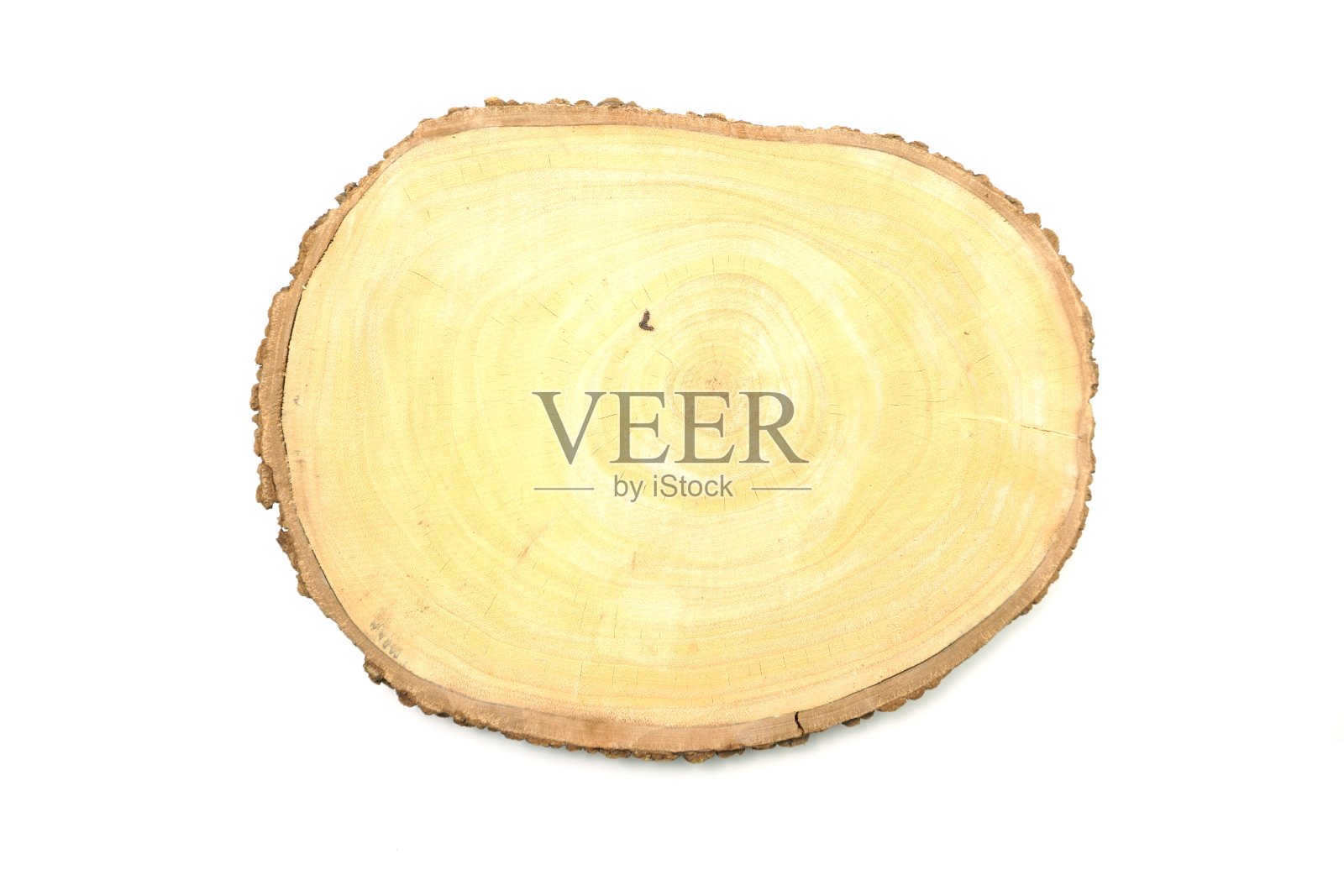 树干交叉孤立在白色背景上照片摄影图片