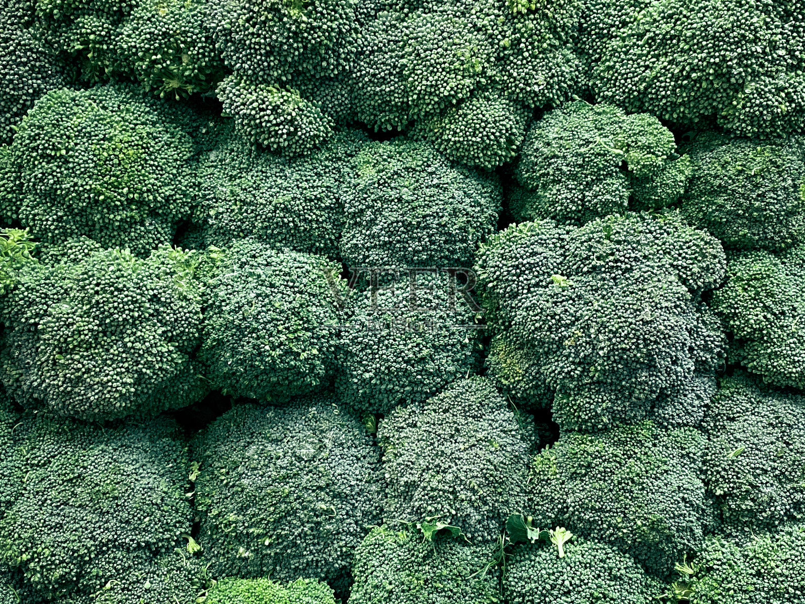 西兰花照片摄影图片