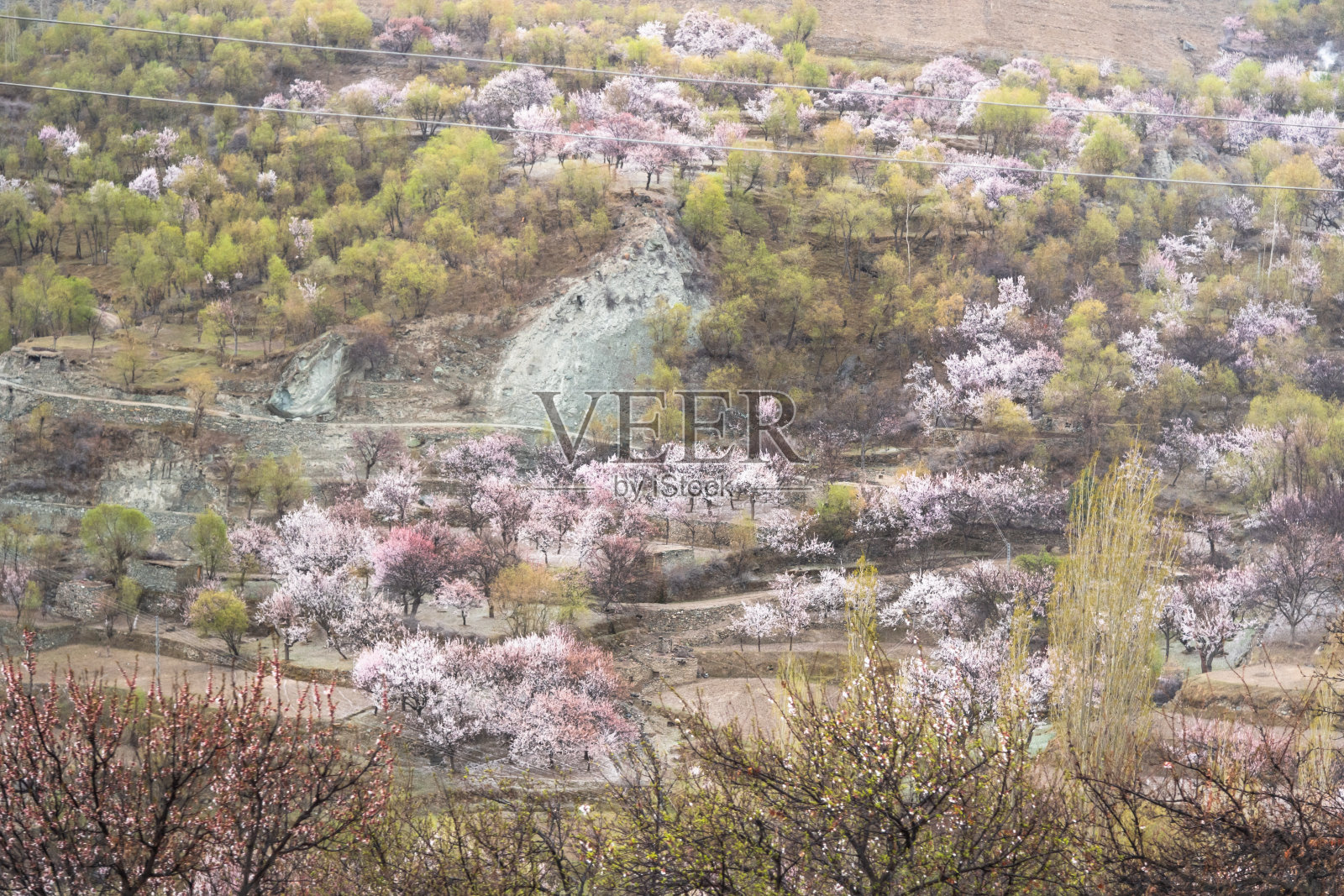 自然风景沿着喀喇昆仑山在罕萨山谷与樱花盛开的秋天巴基斯坦照片摄影图片
