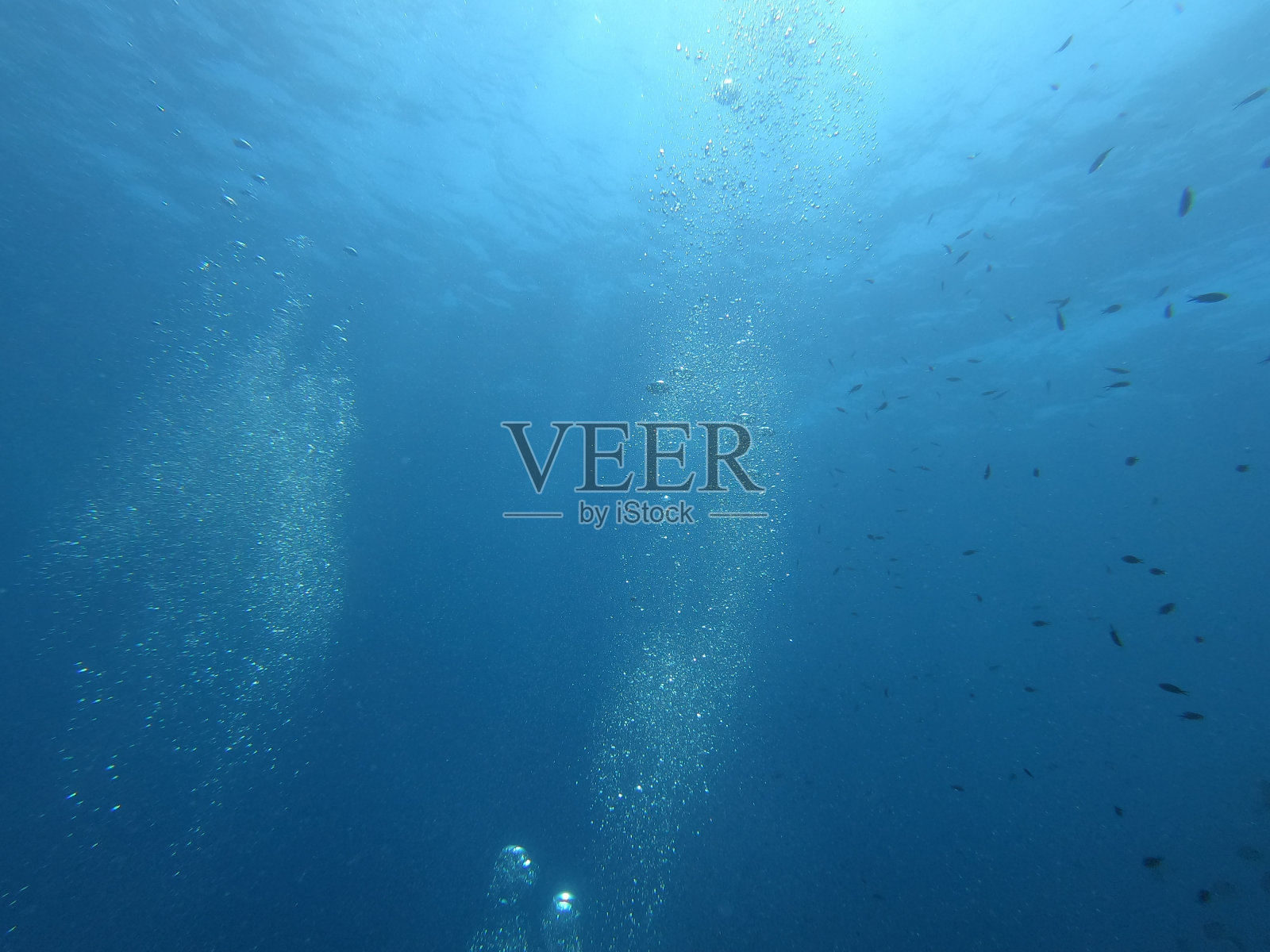 泡泡在蓝色海洋的水下氛围照片摄影图片