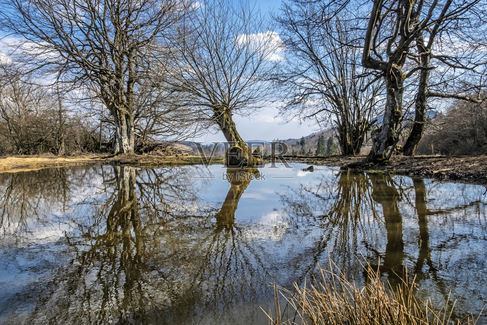 斯蒂亚夫尼察山脉的湖泊,斯洛伐克,季节性的自然景观照片摄影图片