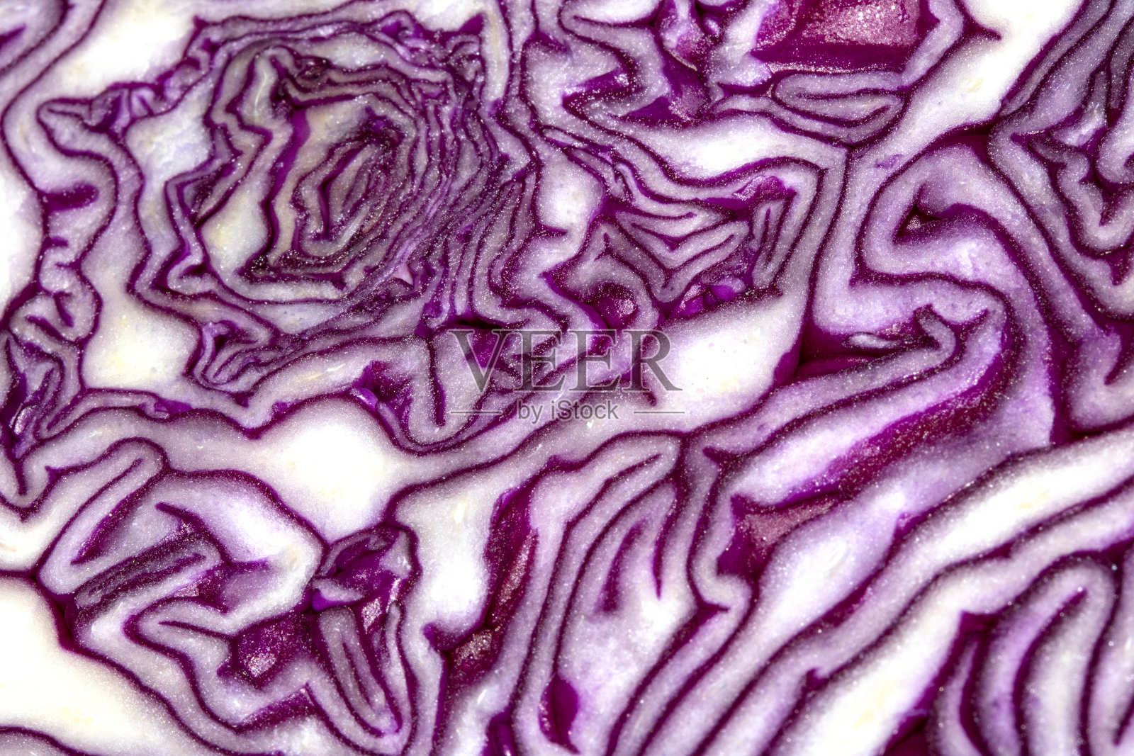 切片红卷心菜近距离上的白色背景照片摄影图片