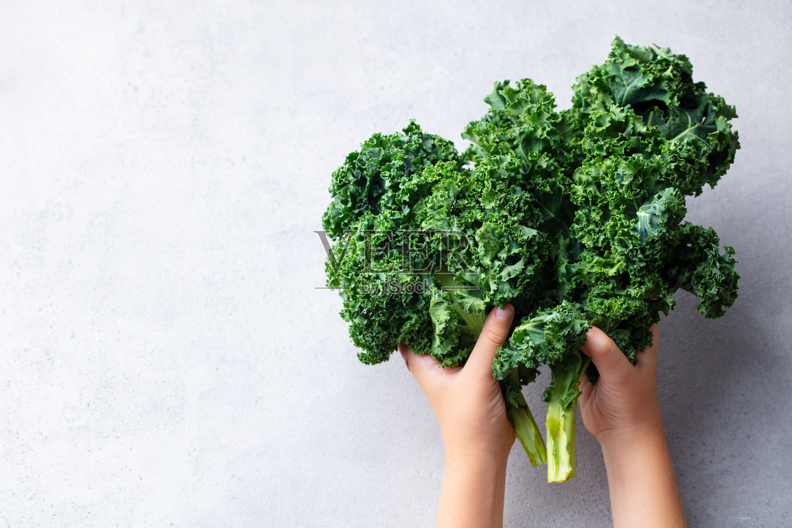 孩子们手里拿着羽衣甘蓝沙拉叶子。灰色背景。副本的空间。照片摄影图片