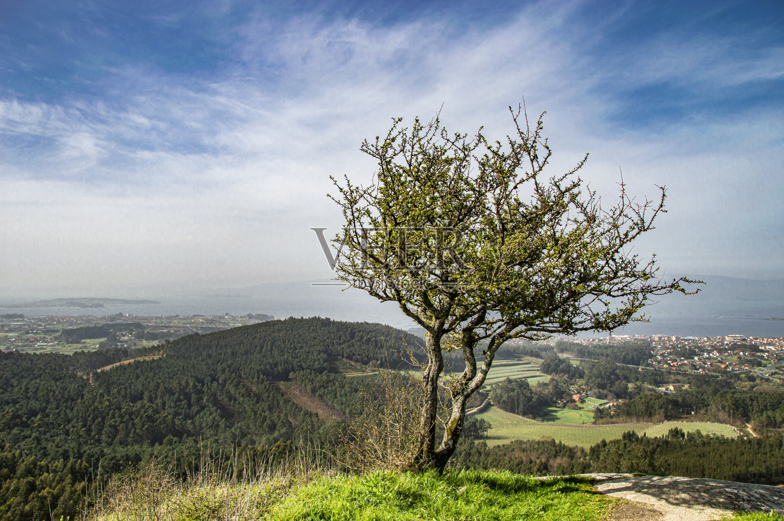 克鲁兹·德·洛贝拉·希尔在西班牙的维兰德诺娃照片摄影图片