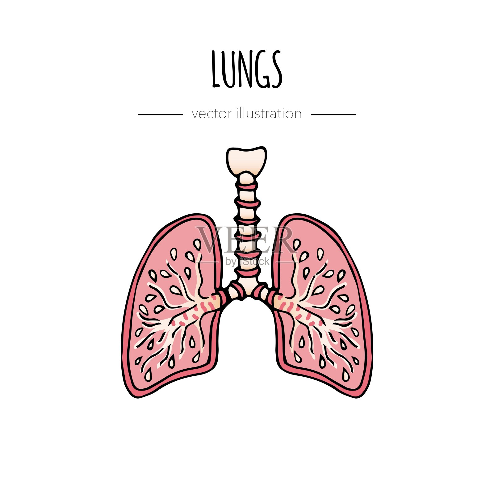 手绘的冠状病毒分子矢量图标插画图片素材
