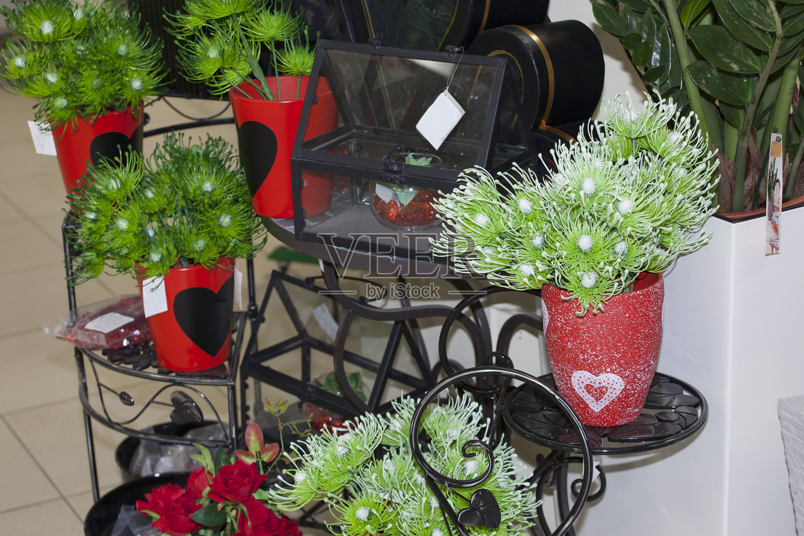 美丽的彩色的安排照片摄影图片