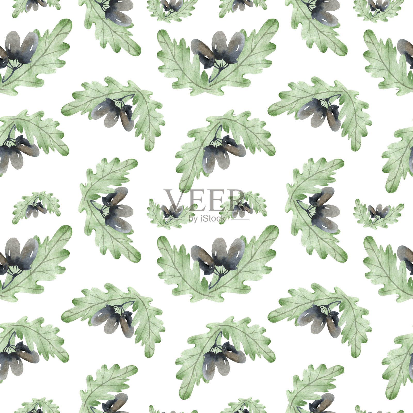 橡子叶无缝背景华丽,图形,美,元素,绘图,织物,种子插画图片素材