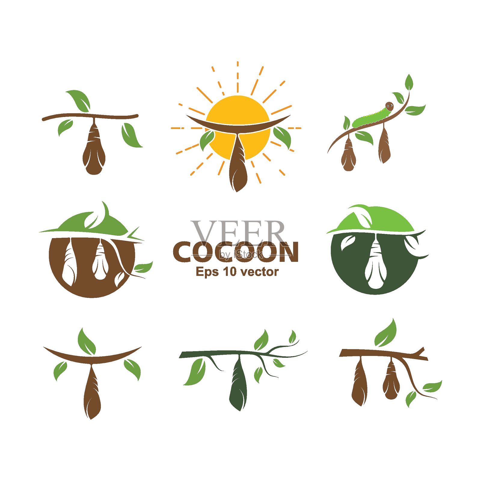 茧矢量插图设计插画图片素材