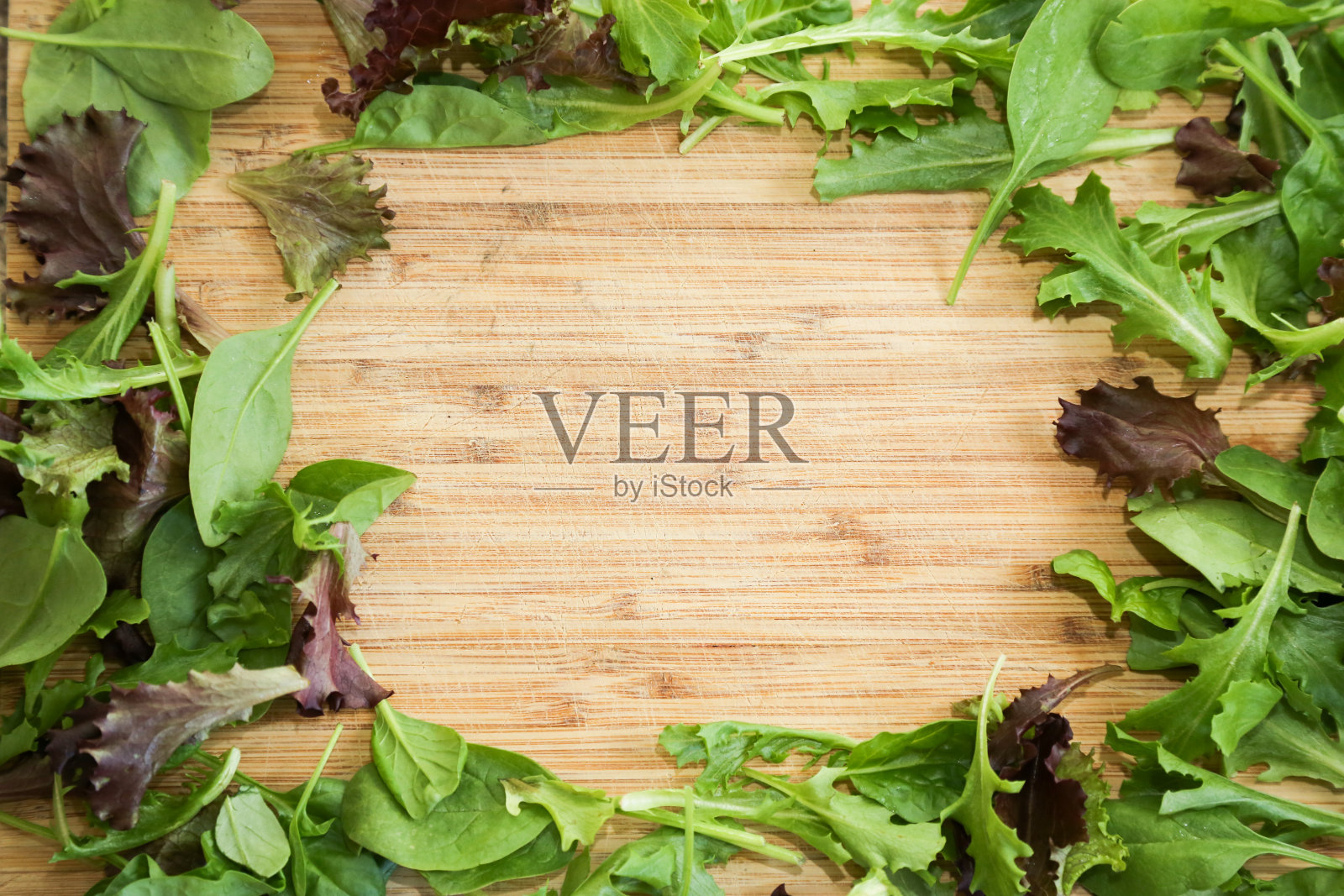 生菜框架照片摄影图片