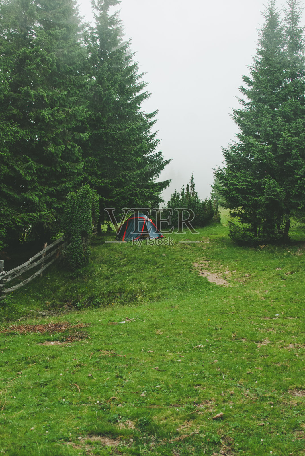 浓雾笼罩下喀尔巴阡山脉野营时的照片。山上长满了松树和绿草。照片摄影图片