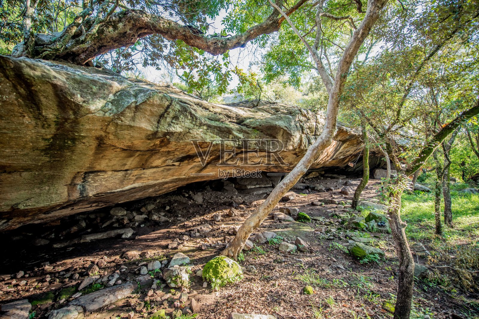悬岩在非洲灌木照片摄影图片