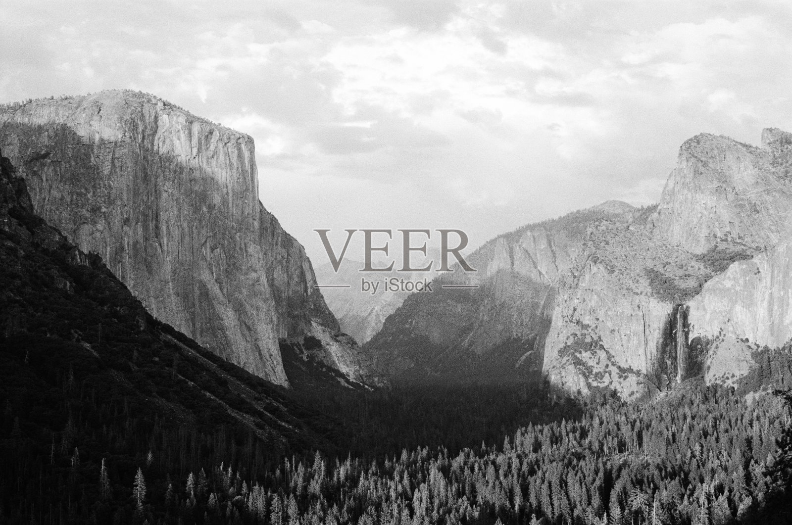 船长照片摄影图片