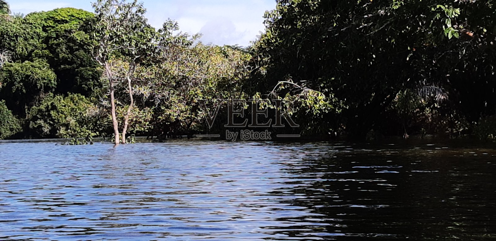 天然美女照片摄影图片