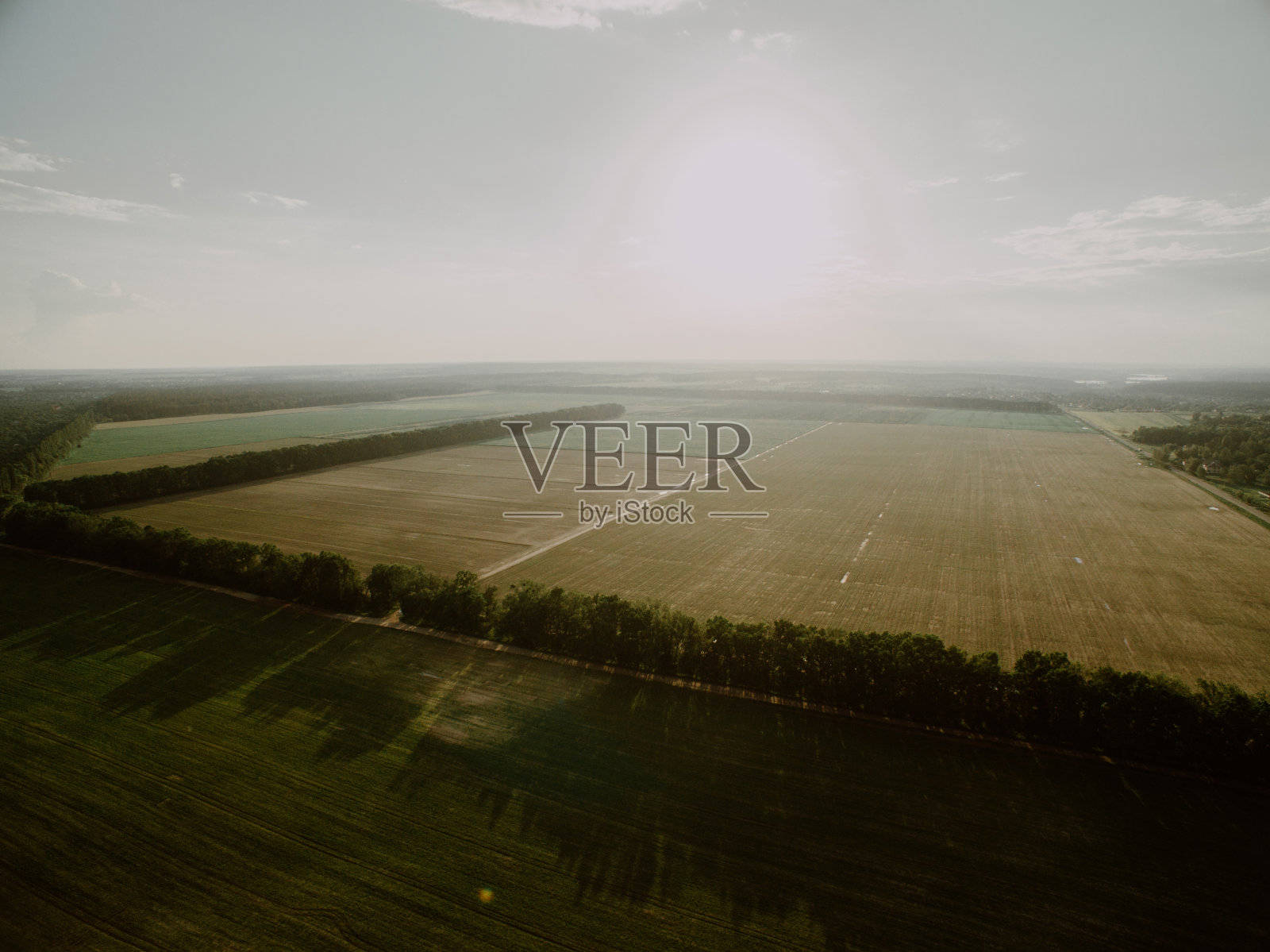 田间小花生植株及高压塔架鸟瞰图。地球,绿色。照片摄影图片