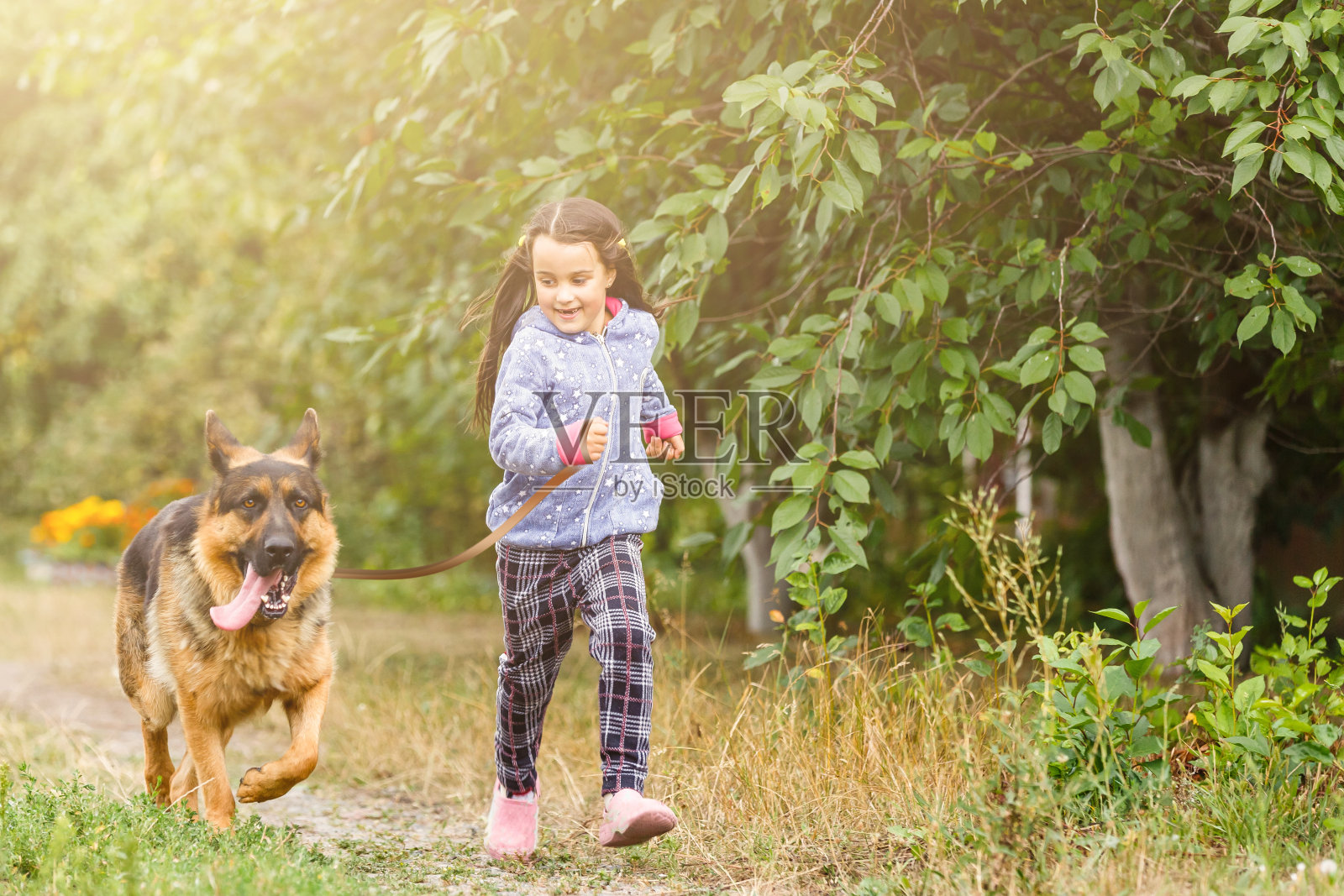 年轻有魅力的运动女孩在公园里和狗一起跑步照片摄影图片