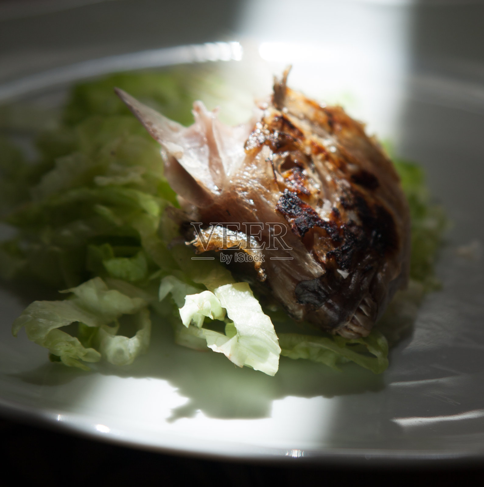 瓷盘上,鱼骨盖着绿莴苣,侧面反光。照片摄影图片