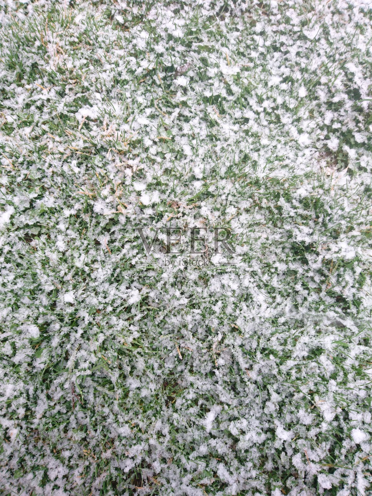 在欧洲开车。春天的大自然照片摄影图片