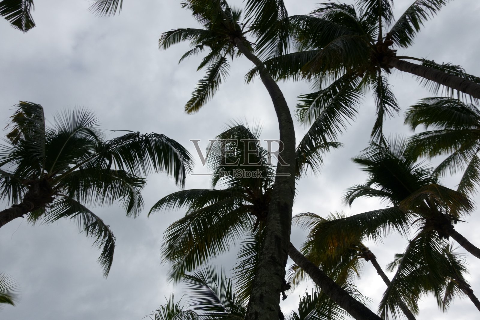 毛里求斯度假胜地照片摄影图片