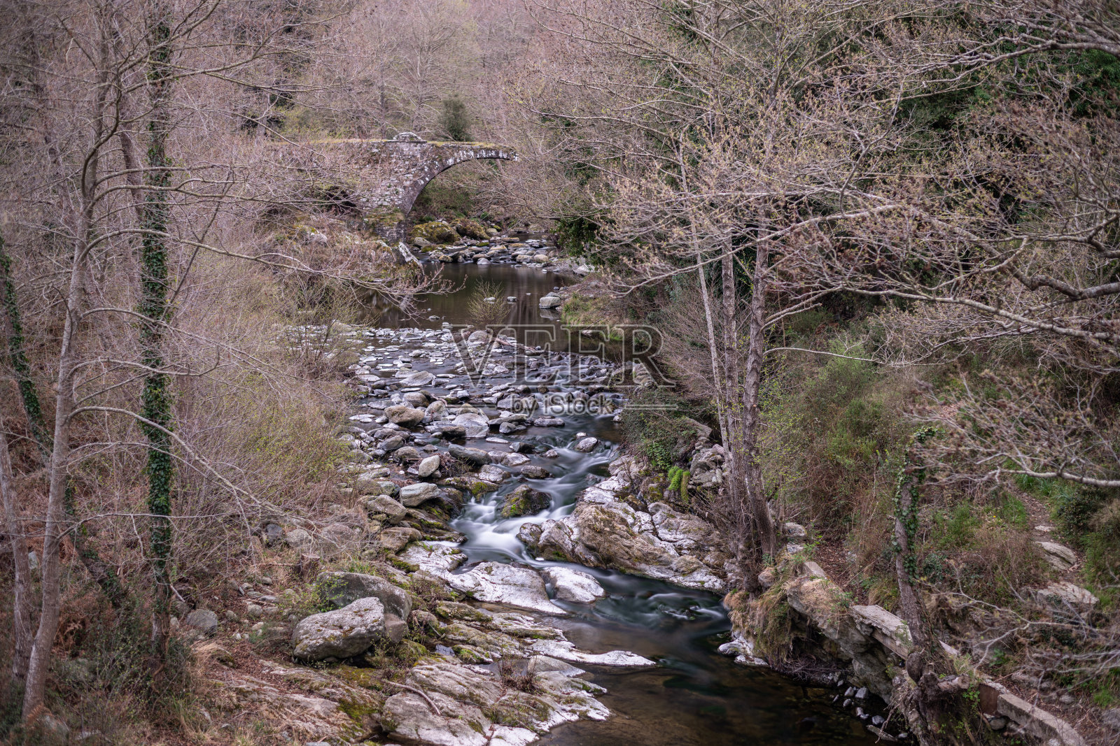 穿过森林的河流照片摄影图片