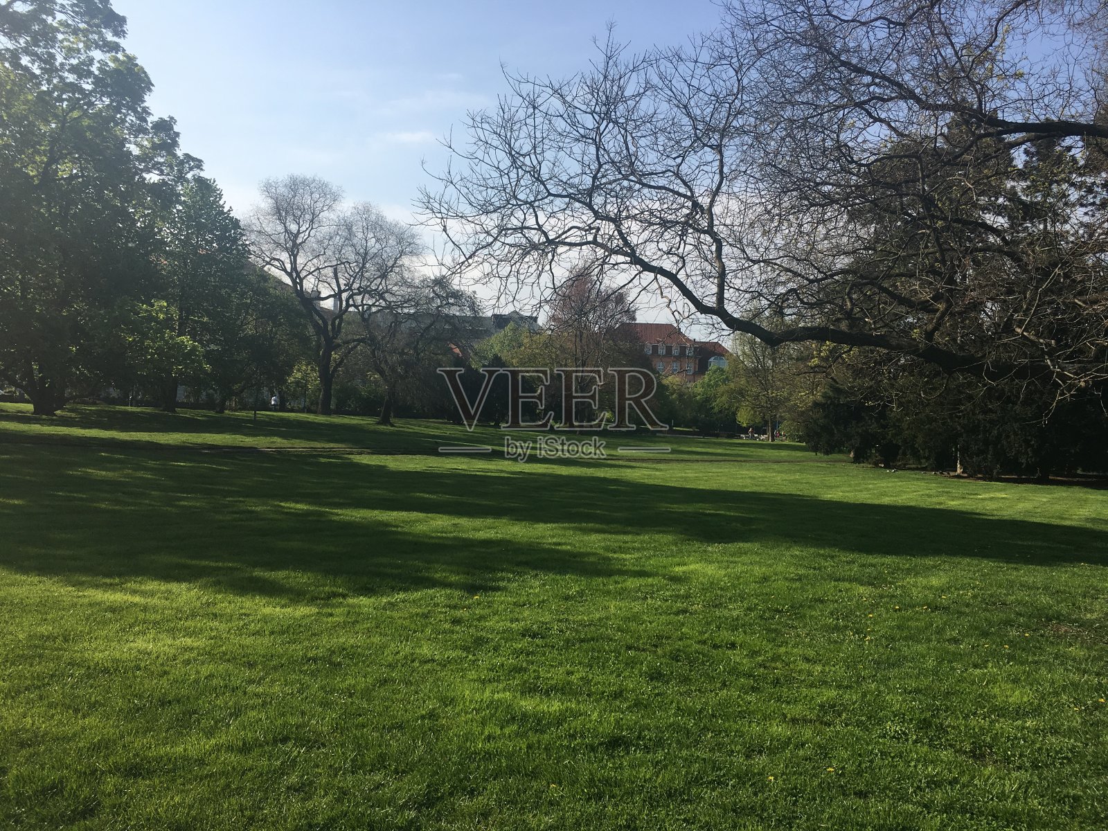 布拉格的街景,捷克共和国照片摄影图片