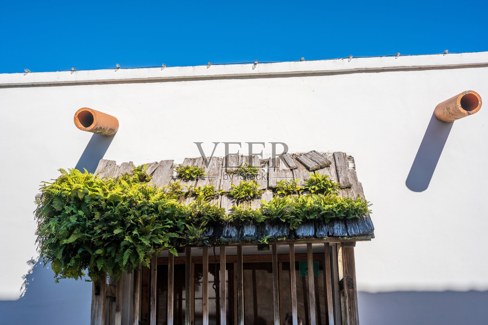 木质植物阳台照片摄影图片