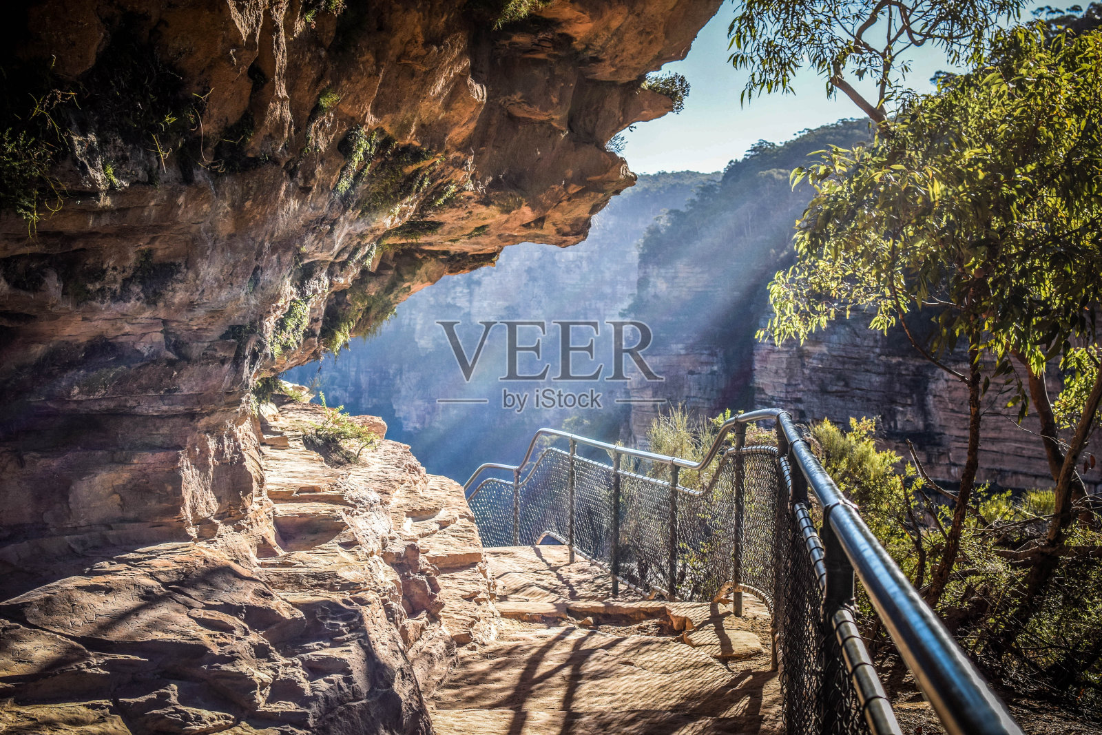 澳大利亚的蓝山国家公园照片摄影图片