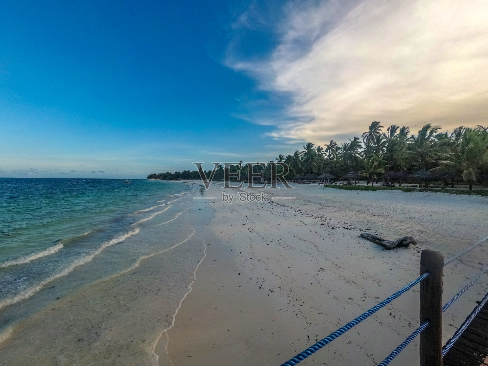 美丽的海滩,棕榈树和蓝色的大海照片摄影图片