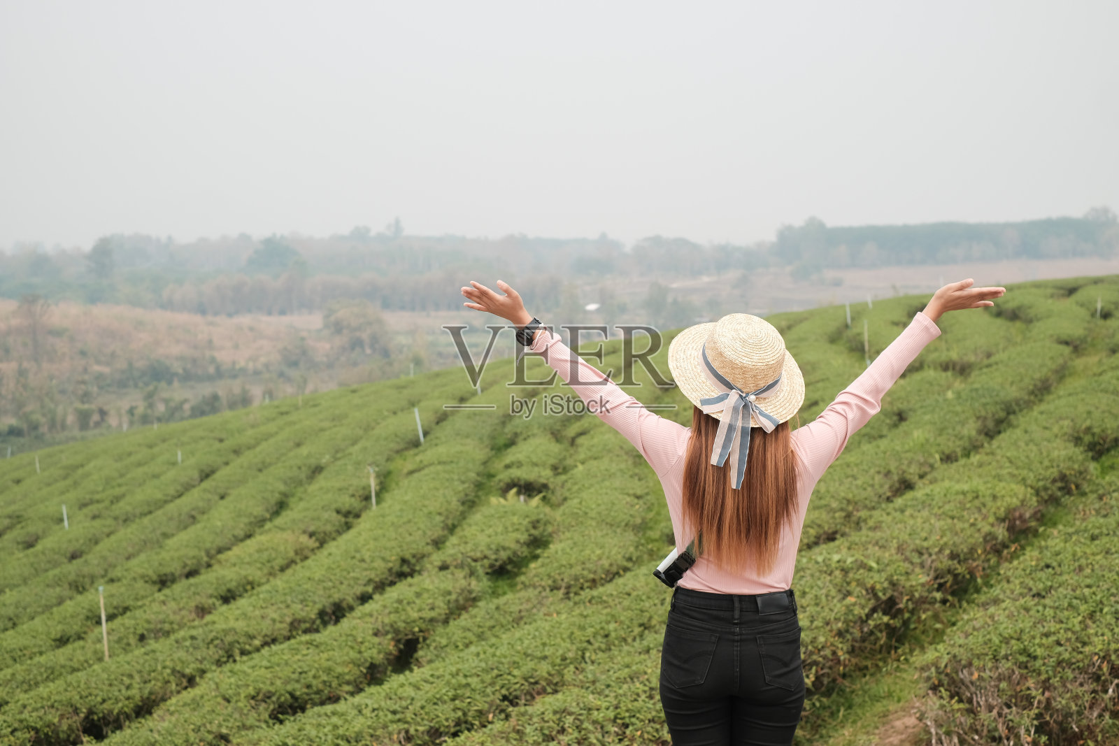 泰国清莱翠峰茶园的日出茶园露台与妇女照片摄影图片
