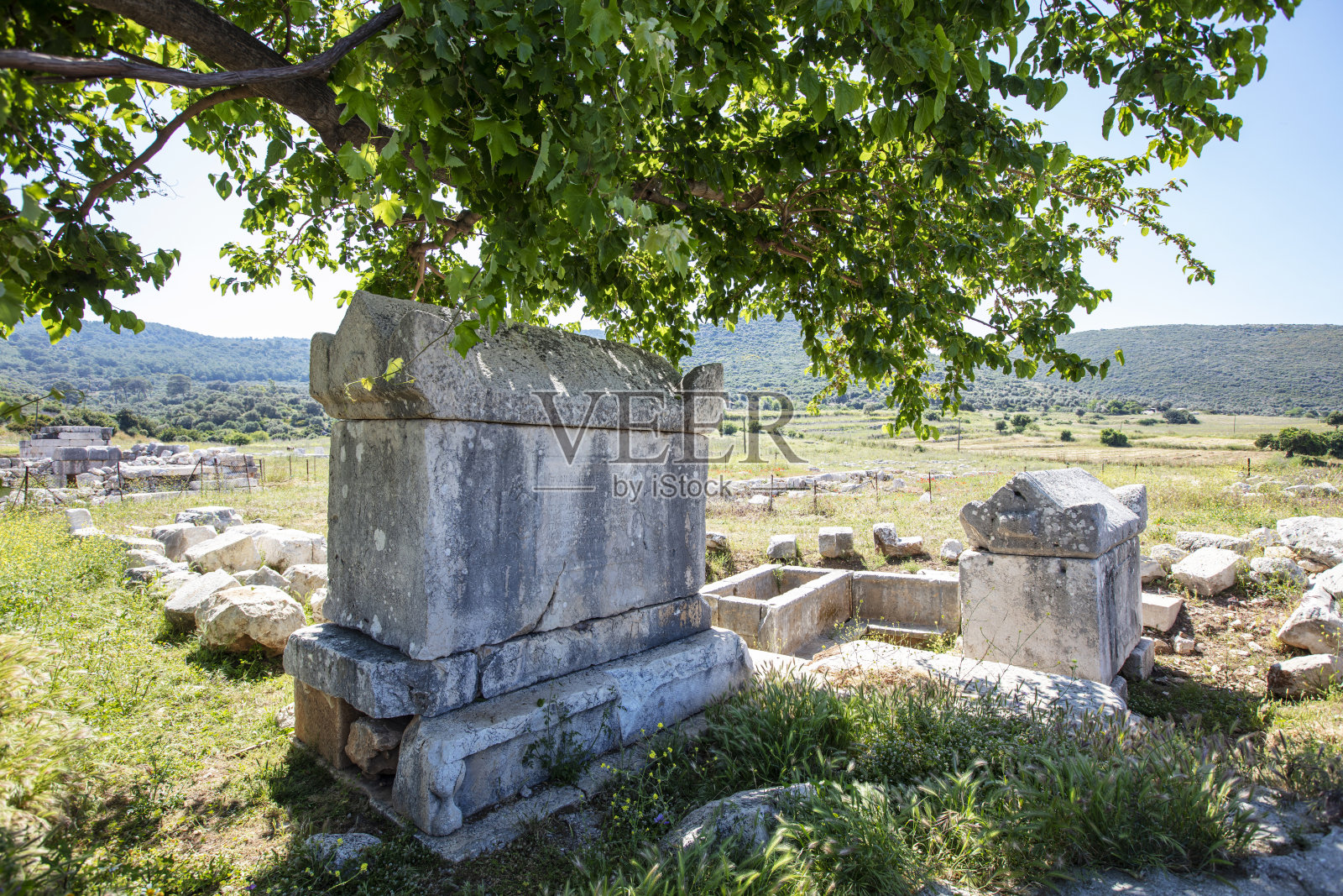 帕塔拉 (Pttra照片摄影图片