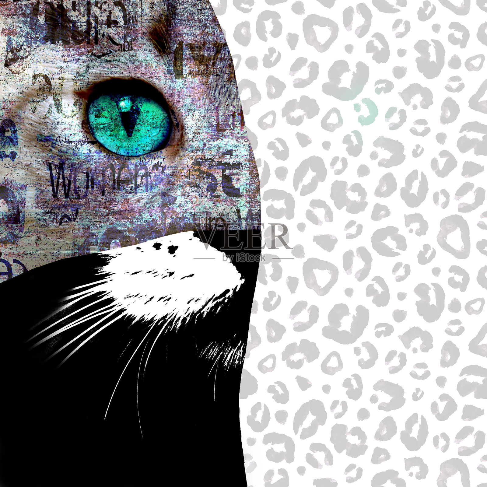 综合媒体艺术拼贴。近距离观看猫与绿色的眼睛。插画图片素材