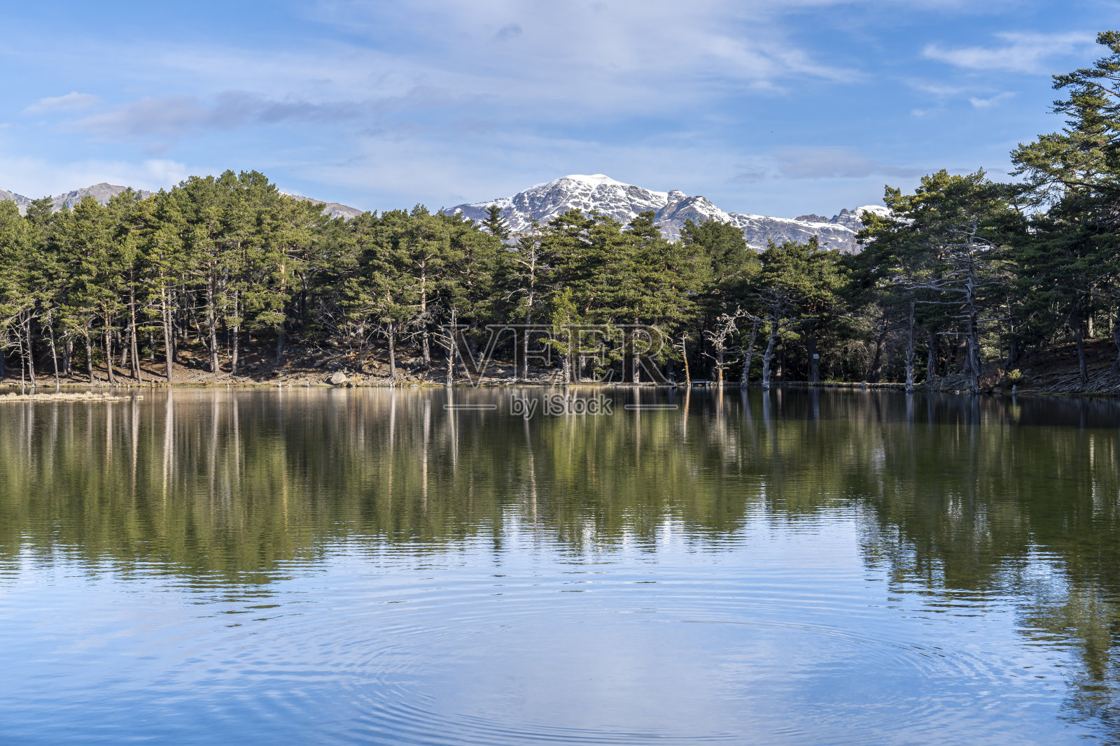 在冬天的巴萨湖上有倒影。照片摄影图片
