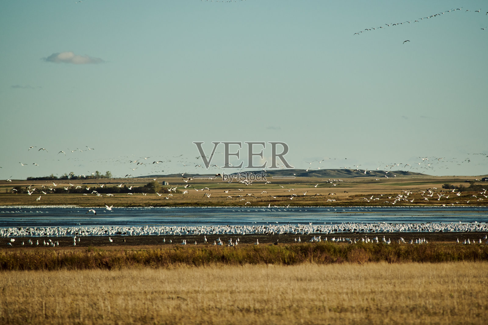 聚集在湖边照片摄影图片