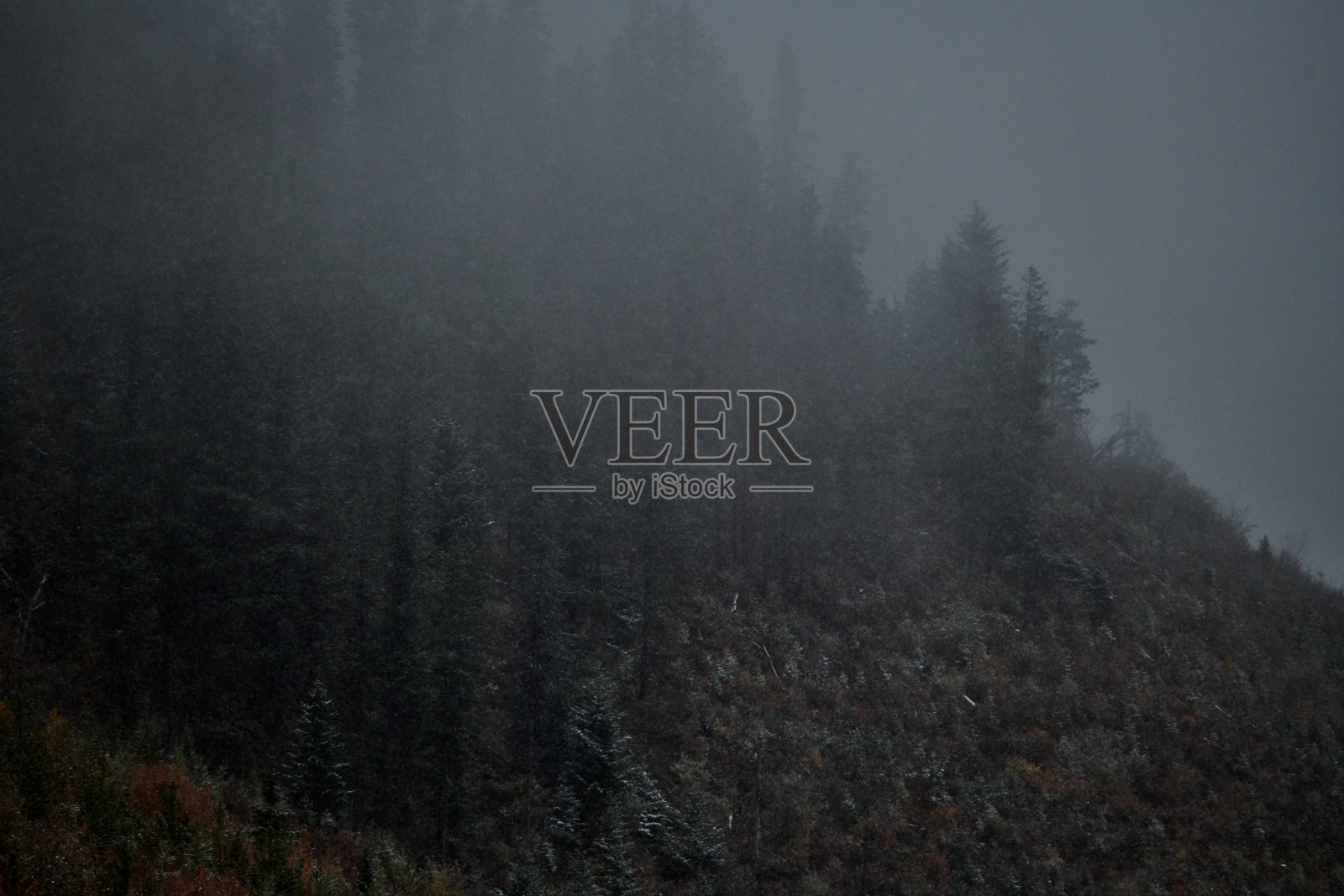 一切都会在适当的时候澄清照片摄影图片