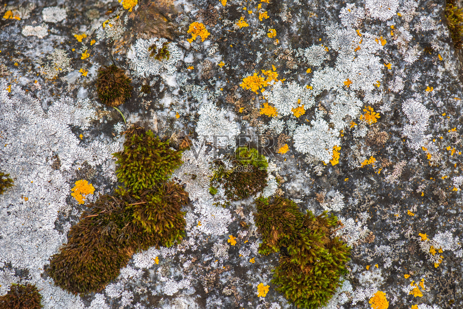 岩石的模式照片摄影图片
