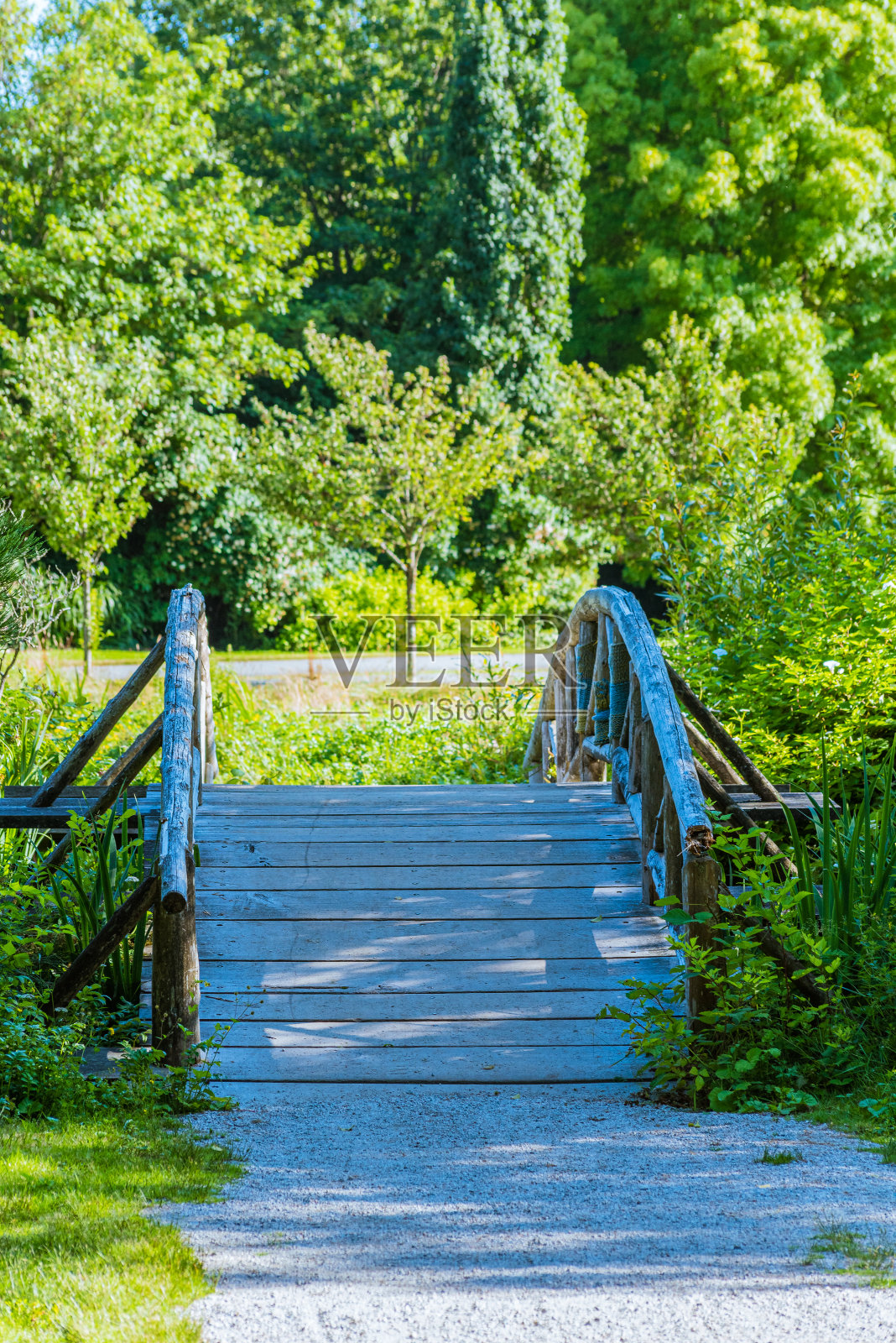 斯坦利公园、加拿大照片摄影图片