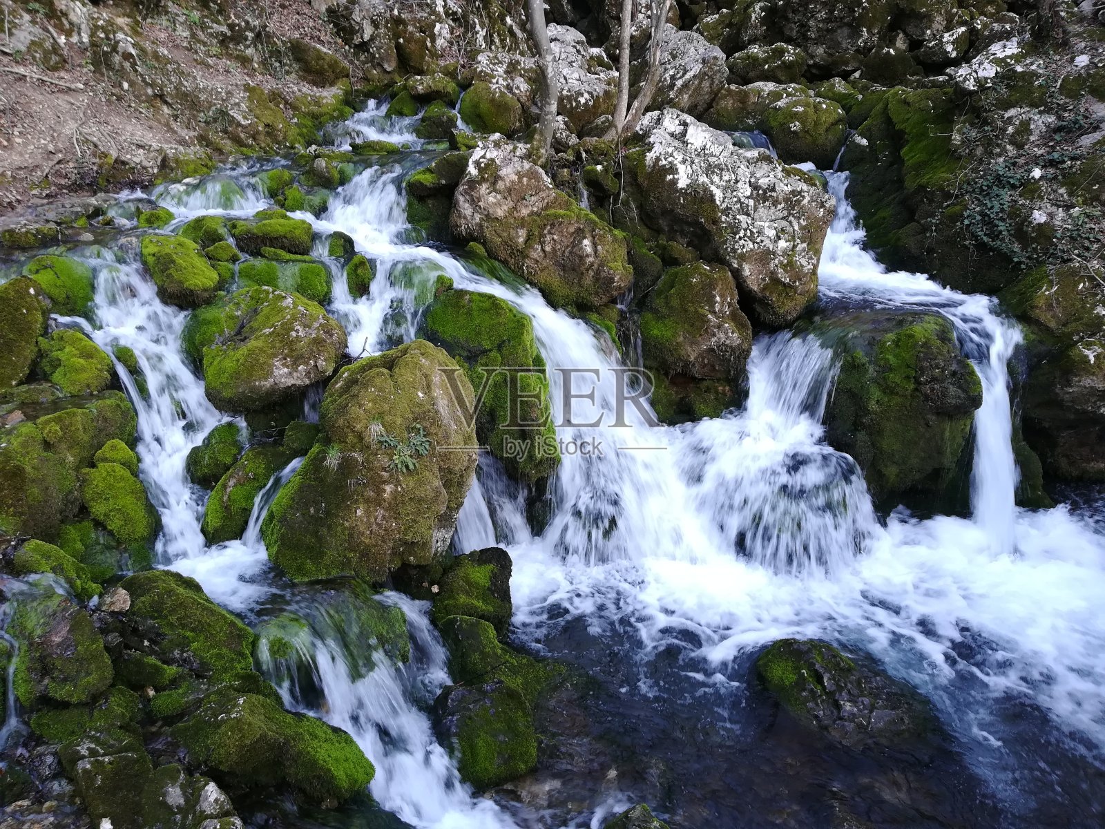 森林小溪,春天照片摄影图片