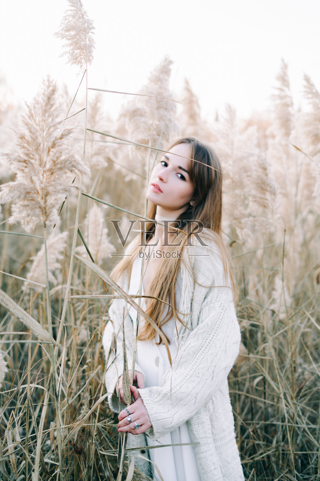 年轻漂亮的女孩穿着白色连衣裙、针织开衫和黑色鞋子,在秋日日落时分,芦苇丛中照片摄影图片