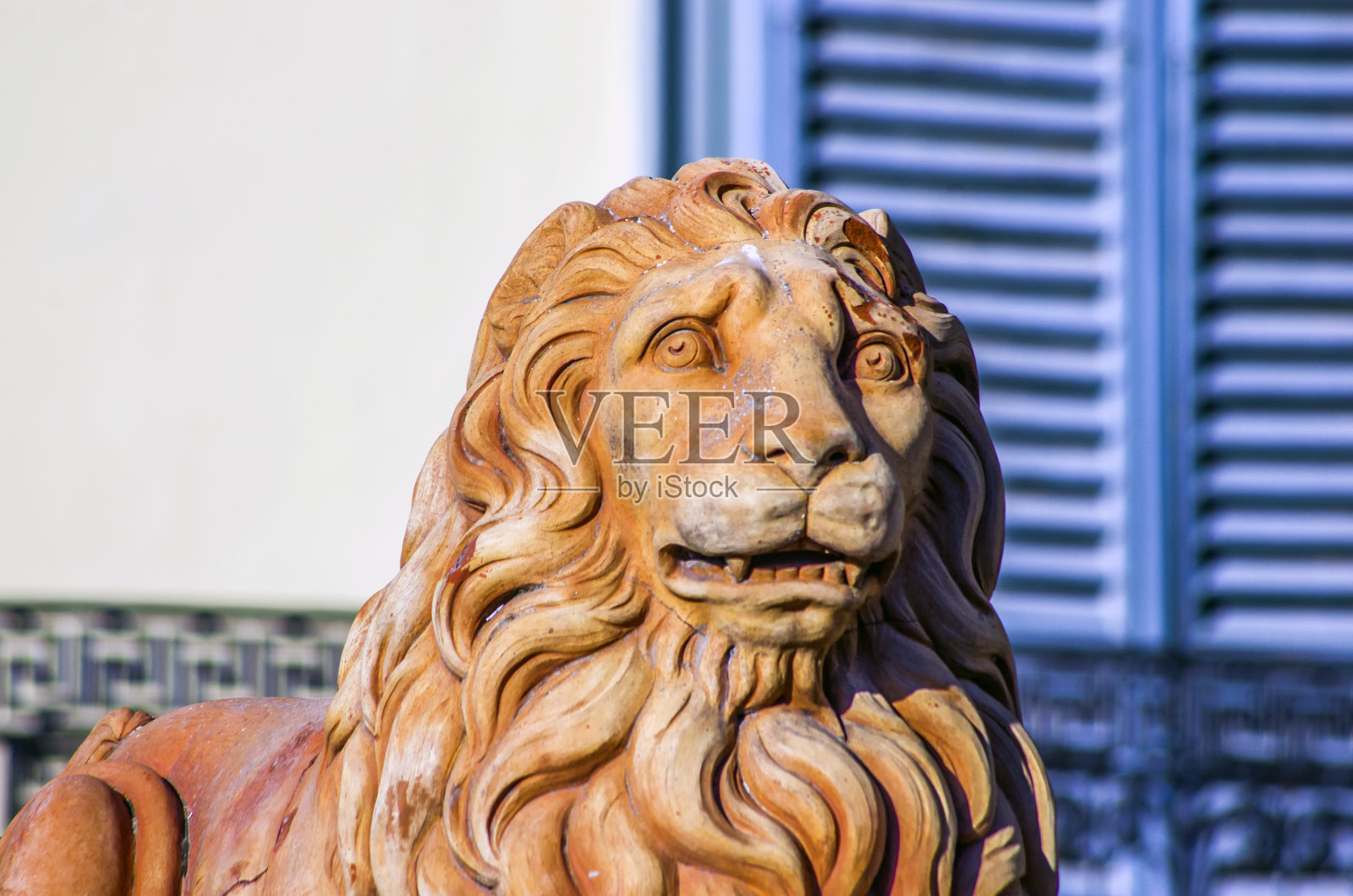 意大利佛罗伦萨文艺复兴时期的雕像:捍卫自由的狮子照片摄影图片