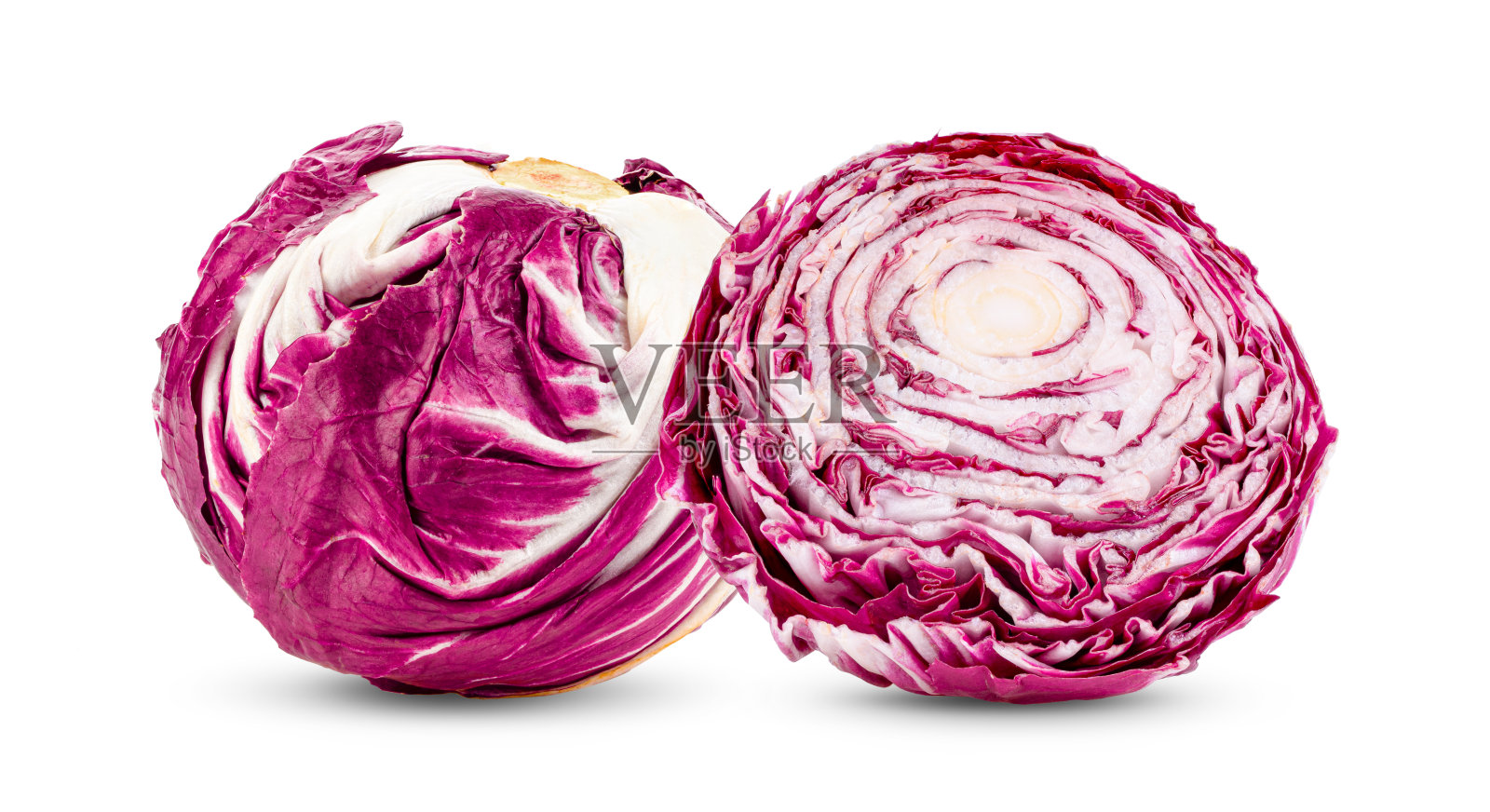 鲜红菊苣,分离于白色上照片摄影图片