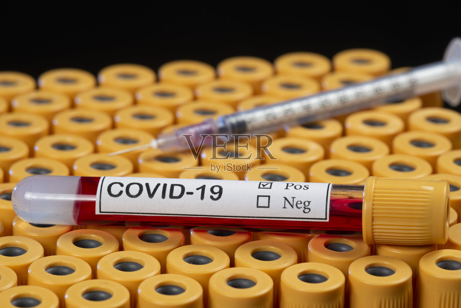 卫生专业人员手持血液样本管照片摄影图片